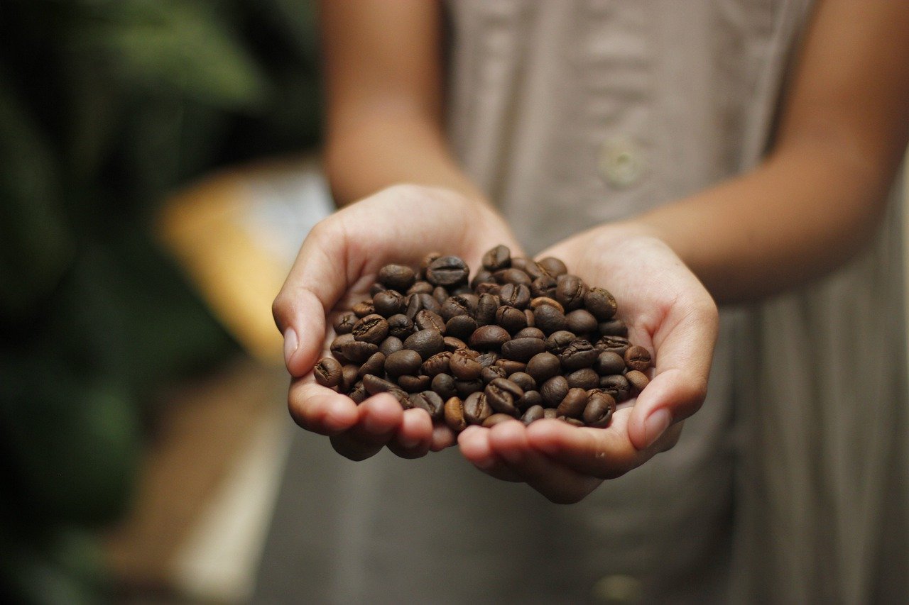 Kawa brazylijska – jakie ma korzyści zdrowotne?